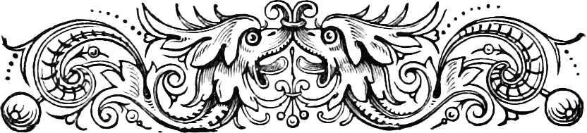 Fantastic Beasts Header Image